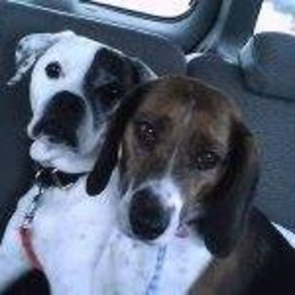 Meet your Posher, Sara - Picture 1 of 1